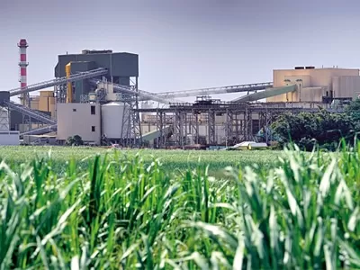 Sugar Industry